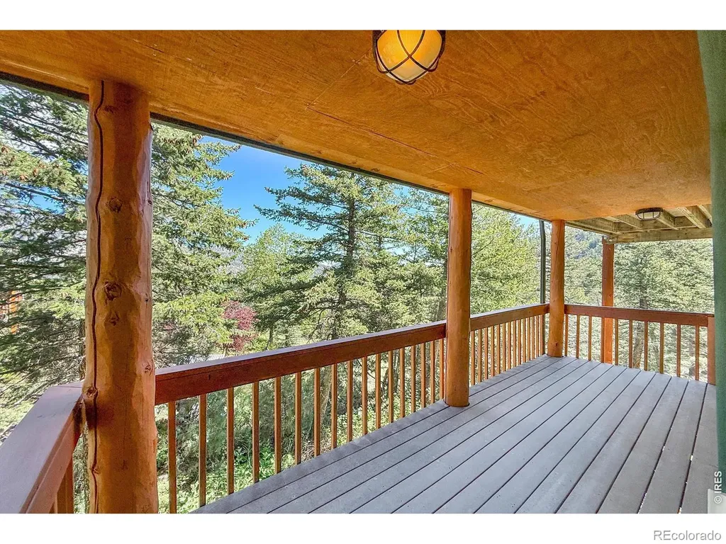 1108 Eagle Drive Lyons CO 80540