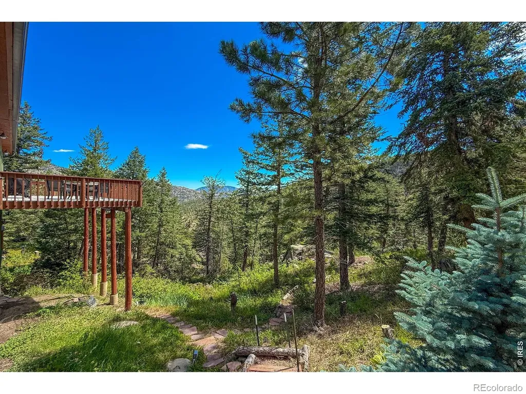 1108 Eagle Drive Lyons CO 80540