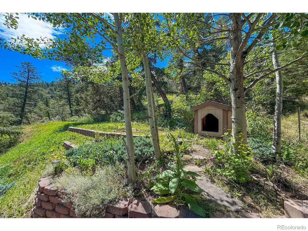 1108 Eagle Drive Lyons CO 80540