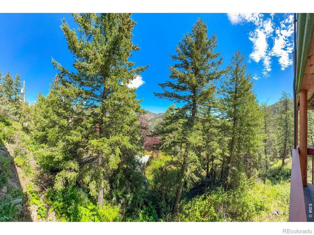 1108 Eagle Drive Lyons CO 80540