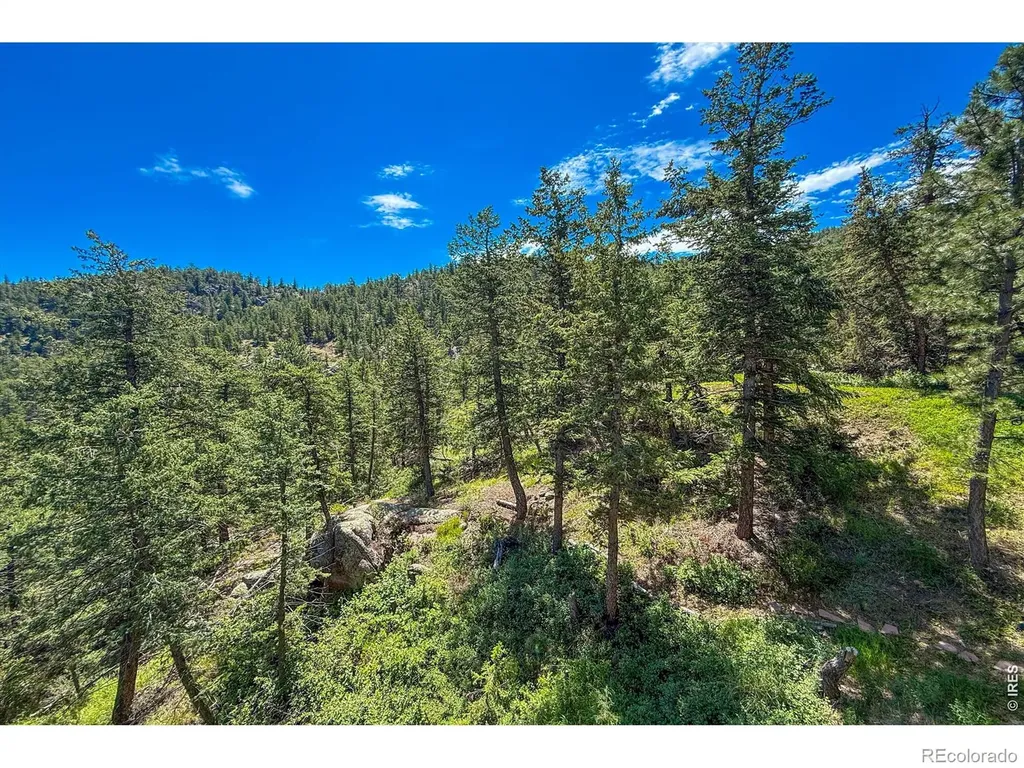 1108 Eagle Drive Lyons CO 80540