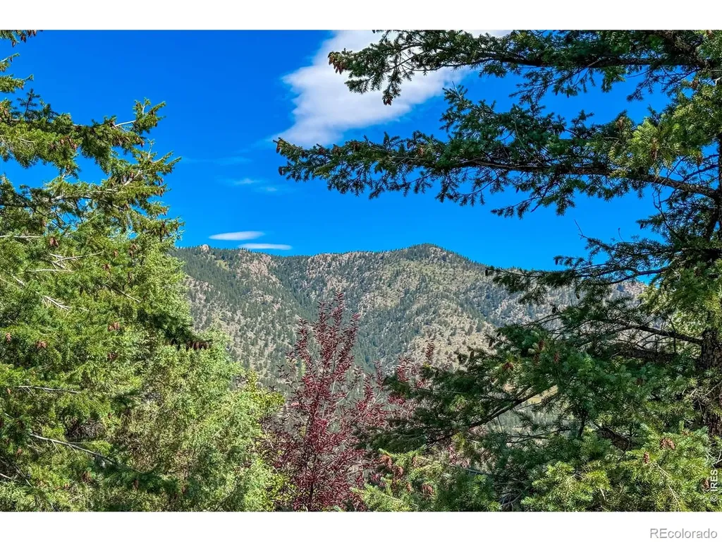 1108 Eagle Drive Lyons CO 80540