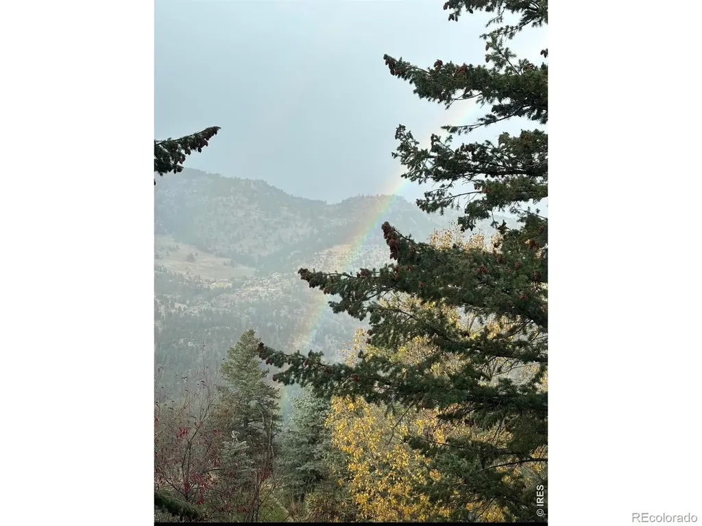1108 Eagle Drive Lyons CO 80540