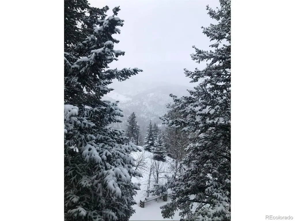 1108 Eagle Drive Lyons CO 80540