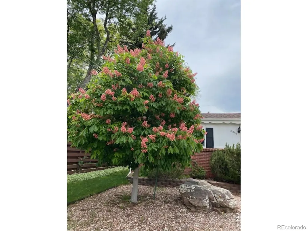 3255 20th Street Boulder CO 80304