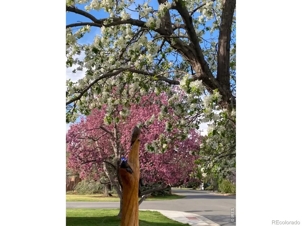 3255 20th Street Boulder CO 80304