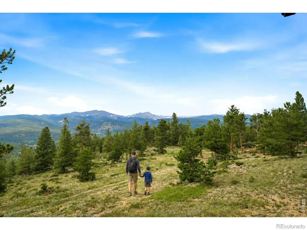 1455 Ridge Road Nederland CO 80466
