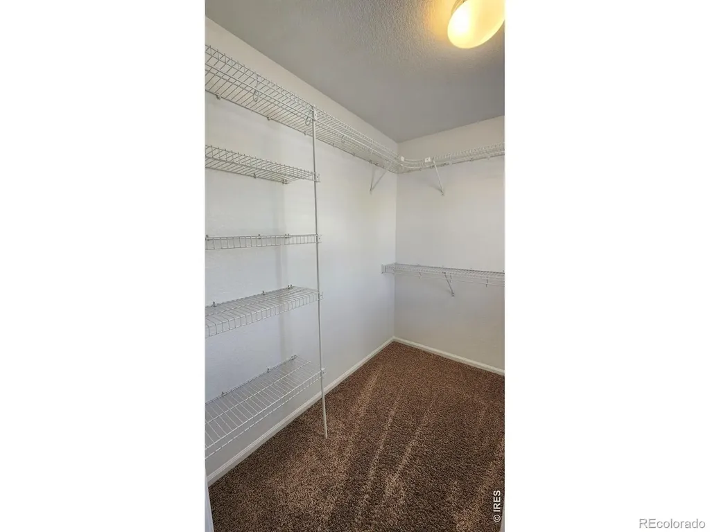 4502 Teller Place Loveland CO 80538