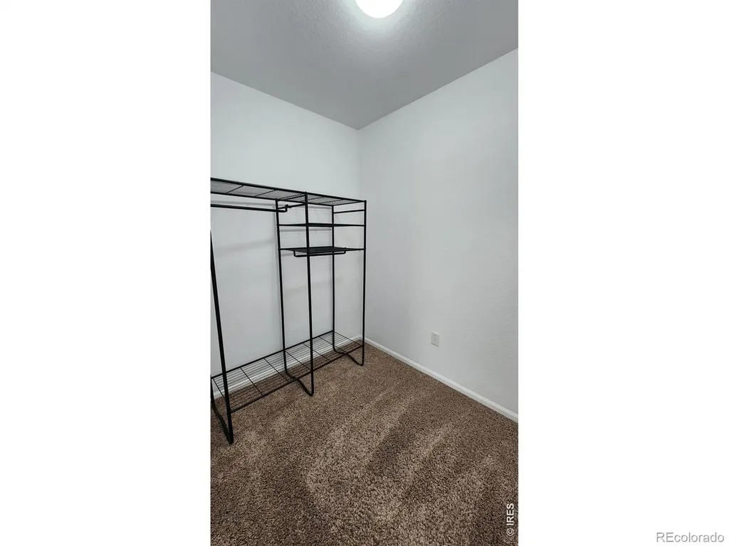 4502 Teller Place Loveland CO 80538