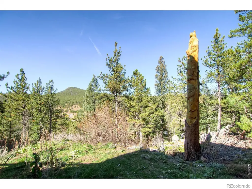 24 Farrell Drive Black Hawk CO 80422
