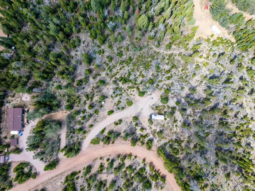 86 Natchez Circle Red Feather Lakes CO 80545