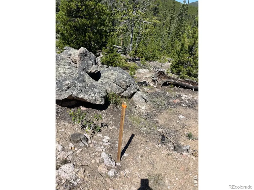 86 Natchez Circle Red Feather Lakes CO 80545