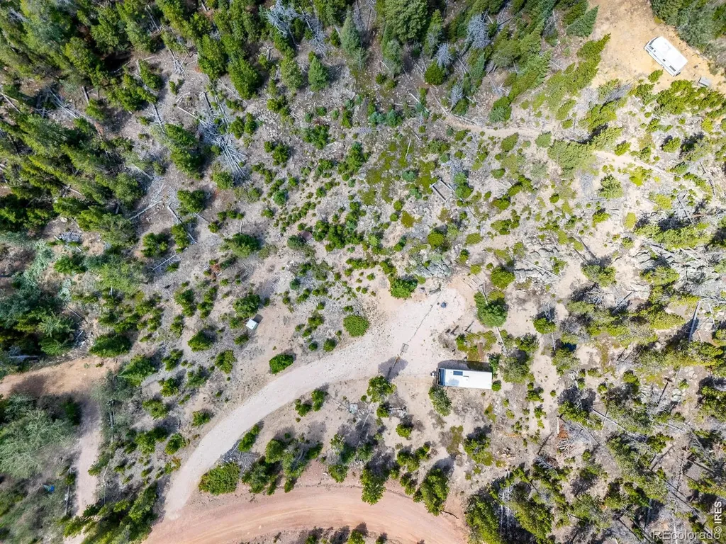 86 Natchez Circle Red Feather Lakes CO 80545