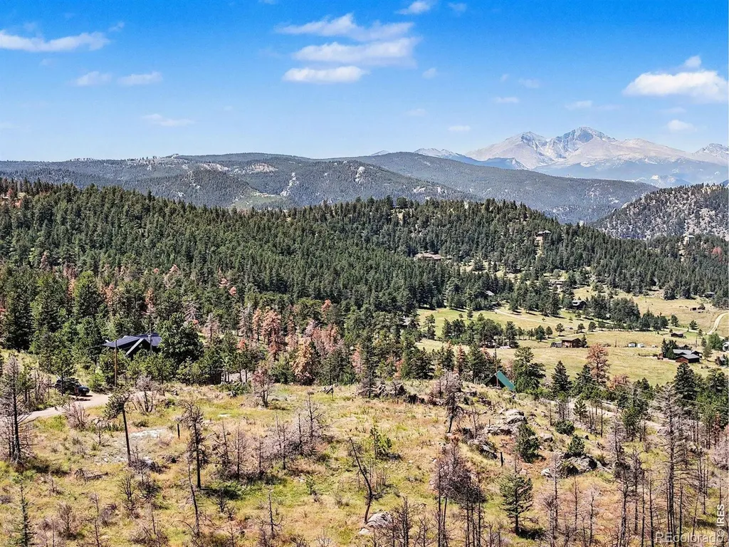 1045 Palisade Mountain Drive Drake CO 80515