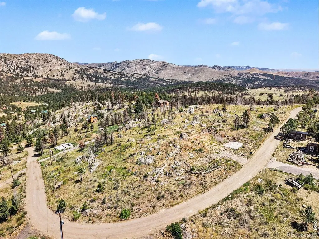 1045 Palisade Mountain Drive Drake CO 80515