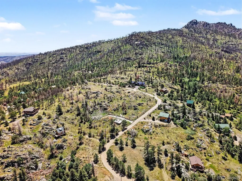 1045 Palisade Mountain Drive Drake CO 80515