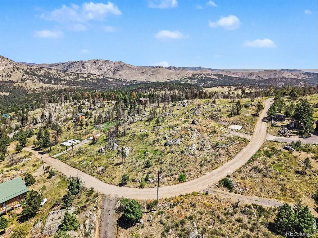 1045 Palisade Mountain Drive Drake CO 80515