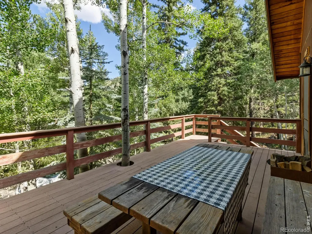 39 Hickory Drive Lyons CO 80540