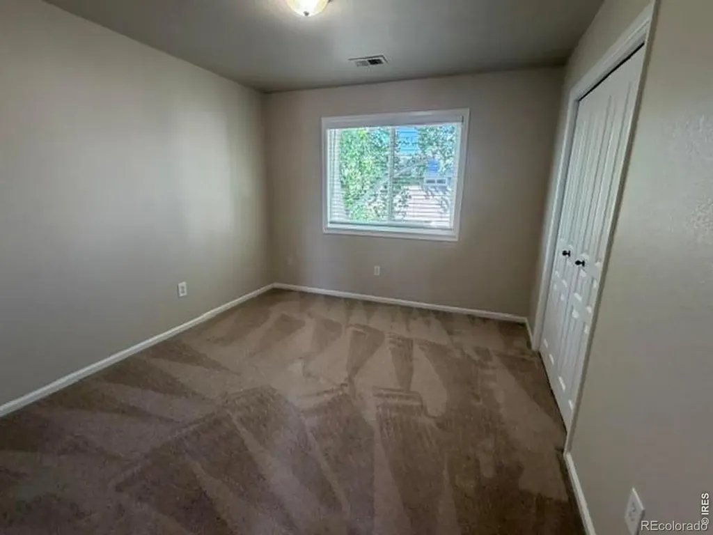 894 Durum Street Windsor CO 80550