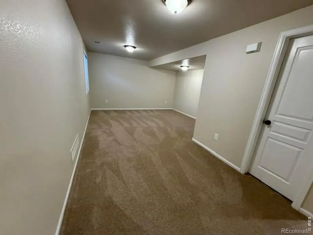 894 Durum Street Windsor CO 80550