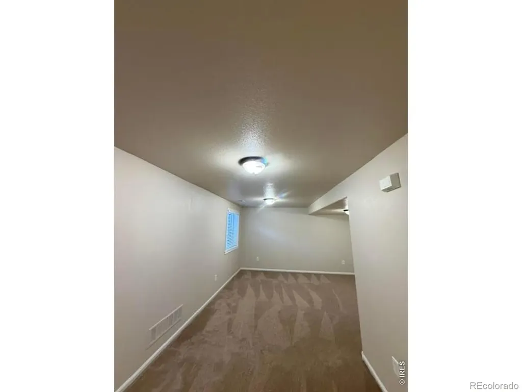 894 Durum Street Windsor CO 80550