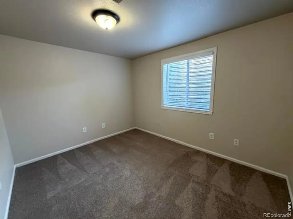 894 Durum Street Windsor CO 80550
