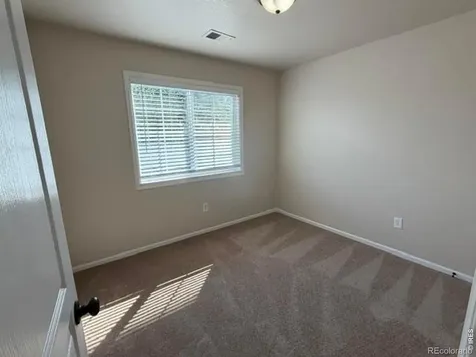 894 Durum Street Windsor CO 80550