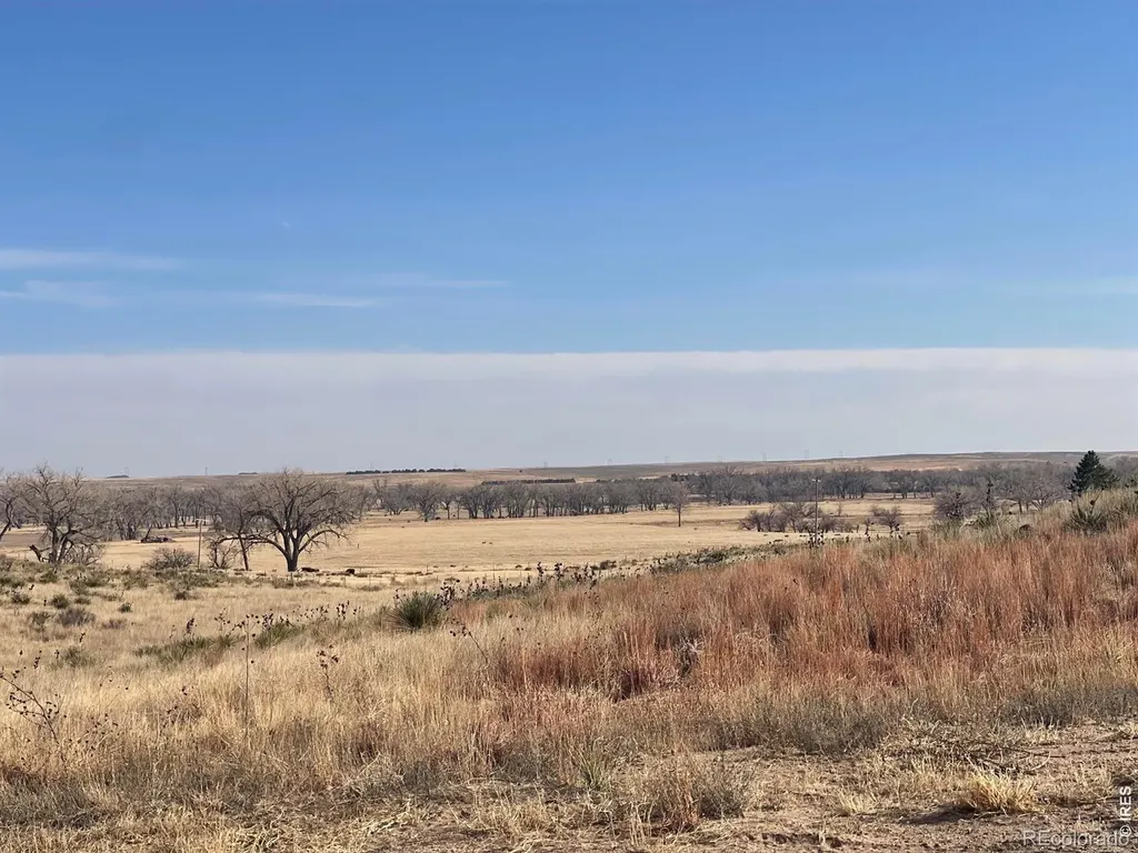 4868 County Road Ll.5 Idalia CO 80735
