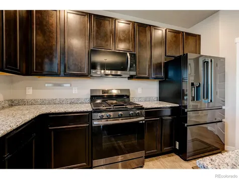 2137 Honeybee Drive Windsor CO 80550
