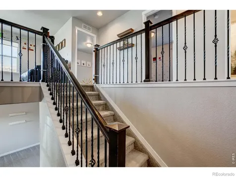 2137 Honeybee Drive Windsor CO 80550