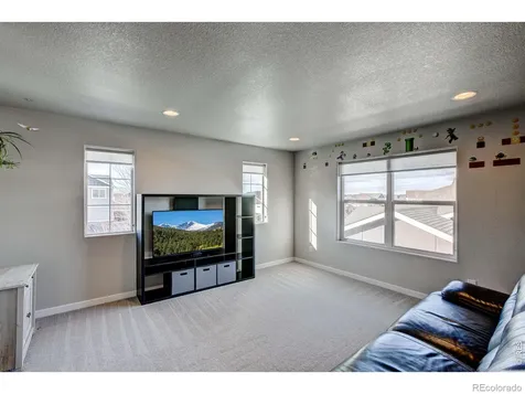 2137 Honeybee Drive Windsor CO 80550