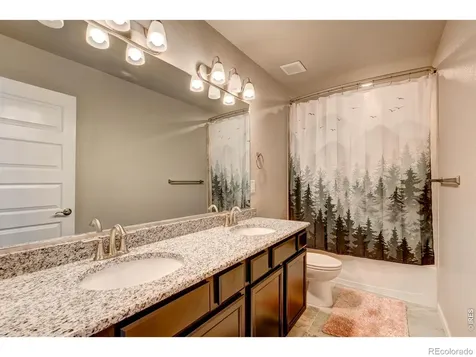 2137 Honeybee Drive Windsor CO 80550
