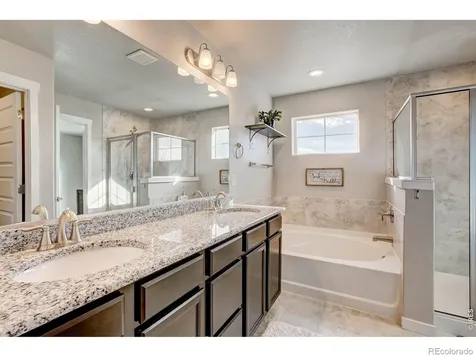 2137 Honeybee Drive Windsor CO 80550