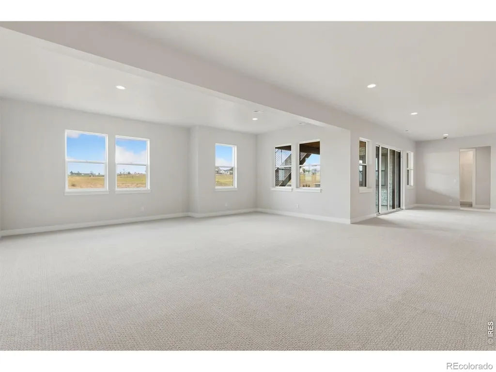 1613 Flourish Court Windsor CO 80550