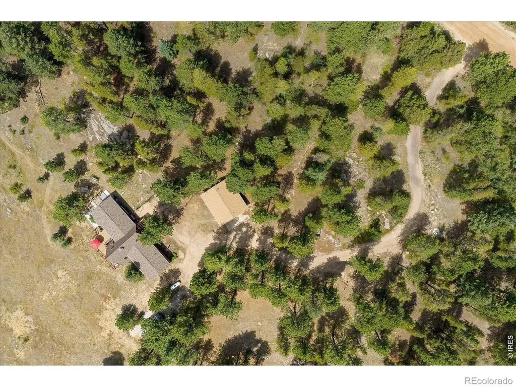 1650 Lazy Z Road Nederland CO 80466