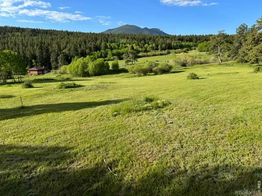 1650 Lazy Z Road Nederland CO 80466