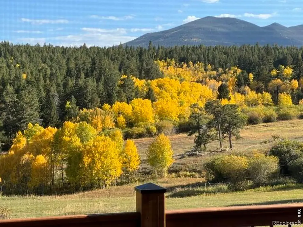 1650 Lazy Z Road Nederland CO 80466