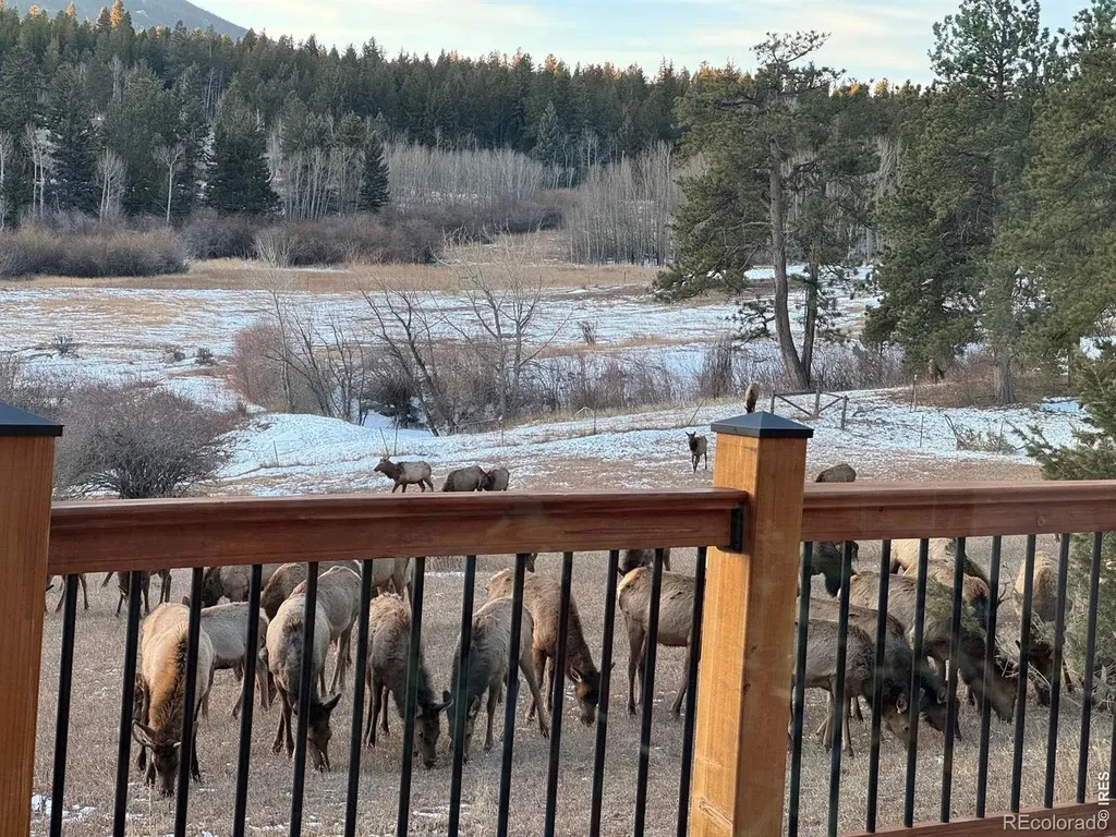 1650 Lazy Z Road Nederland CO 80466