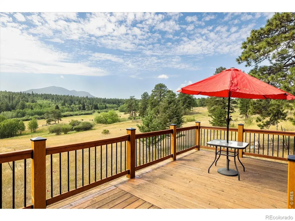 1650 Lazy Z Road Nederland CO 80466
