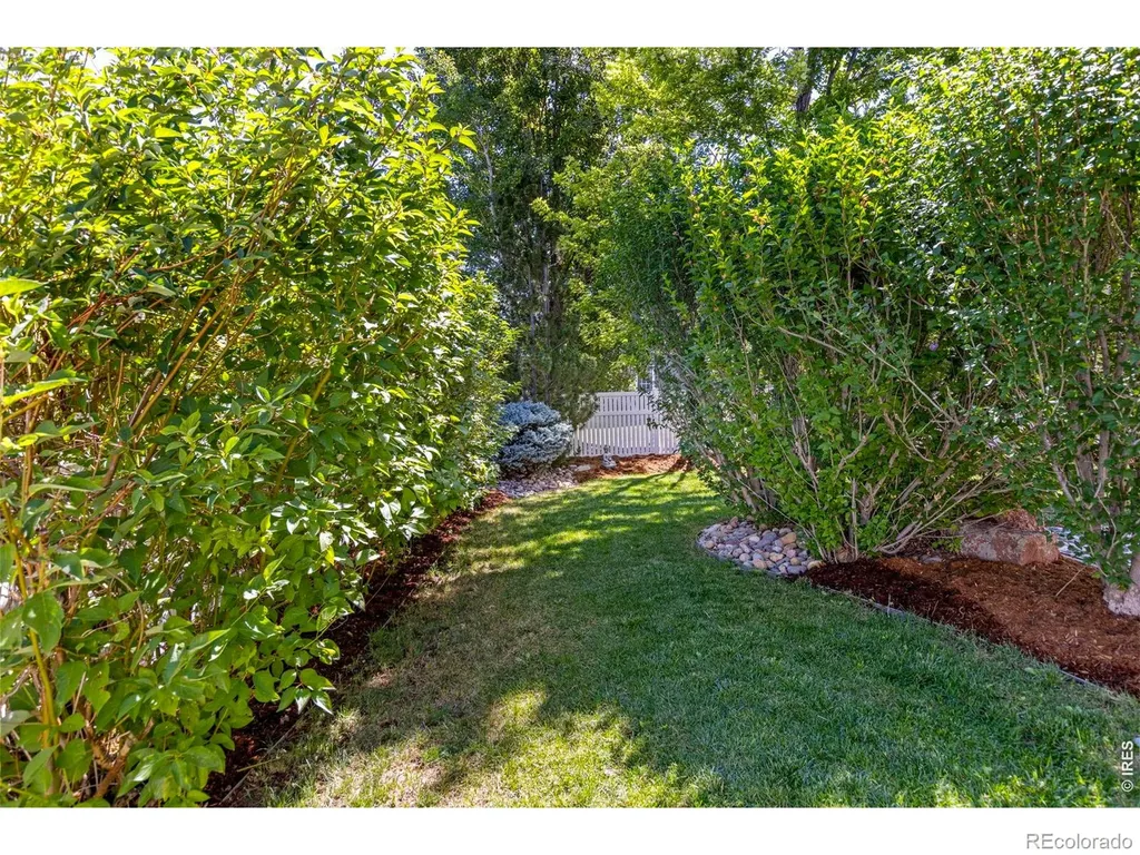4227 San Marco Drive Longmont CO 80503