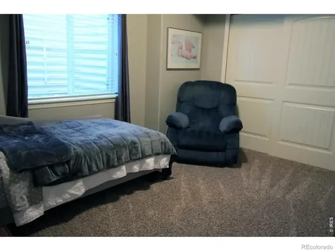 7404 Ladbroke Drive Windsor CO 80550