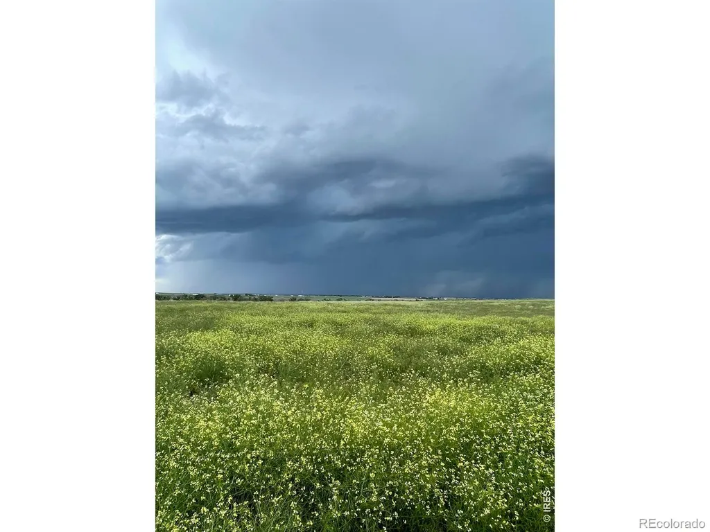 15563 Road 7.3 Wiggins CO 80654