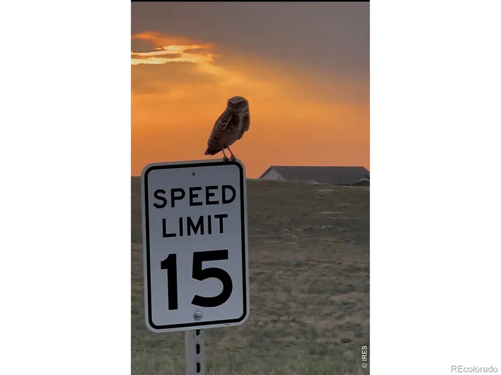 15563 Road 7.3 Wiggins CO 80654