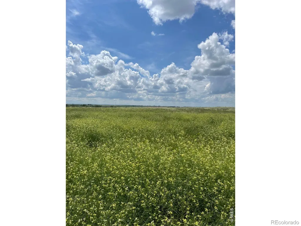15563 Road 7.3 Wiggins CO 80654