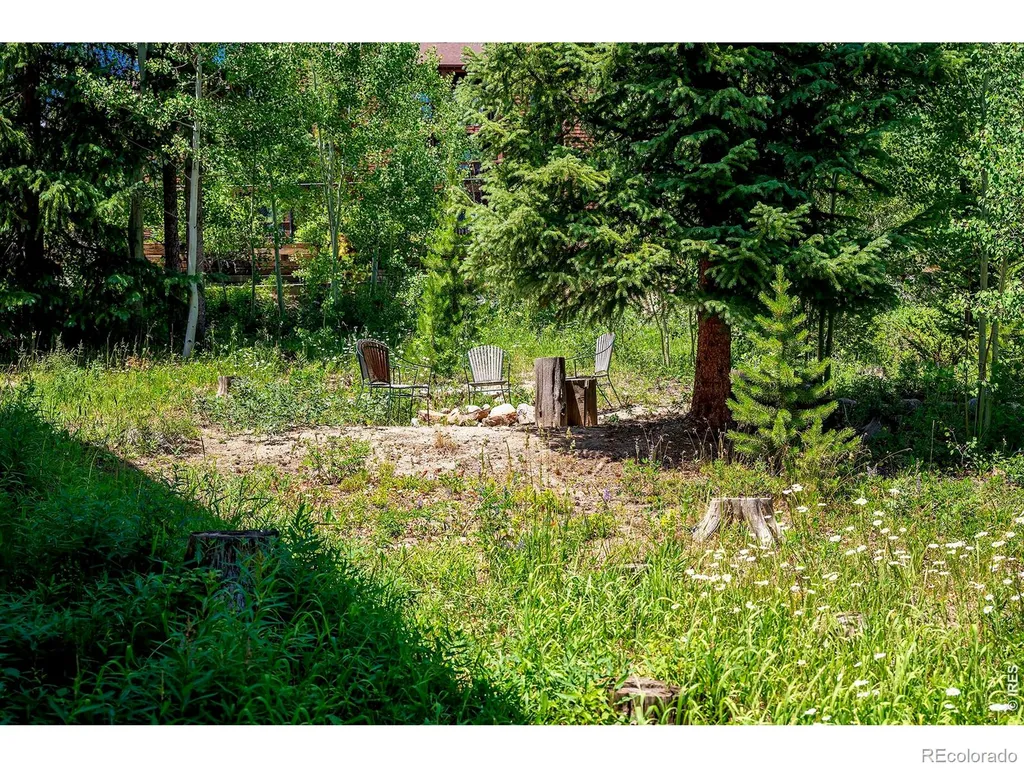 139 Forest Trail Winter Park CO 80482