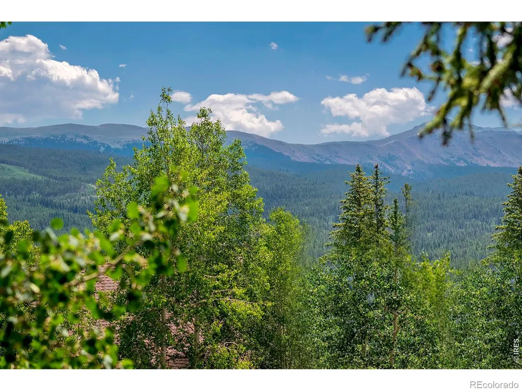 139 Forest Trail Winter Park CO 80482