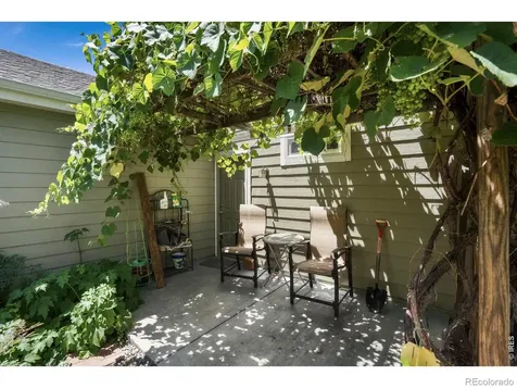 5320 Augusta Trail Fort Collins CO 80528