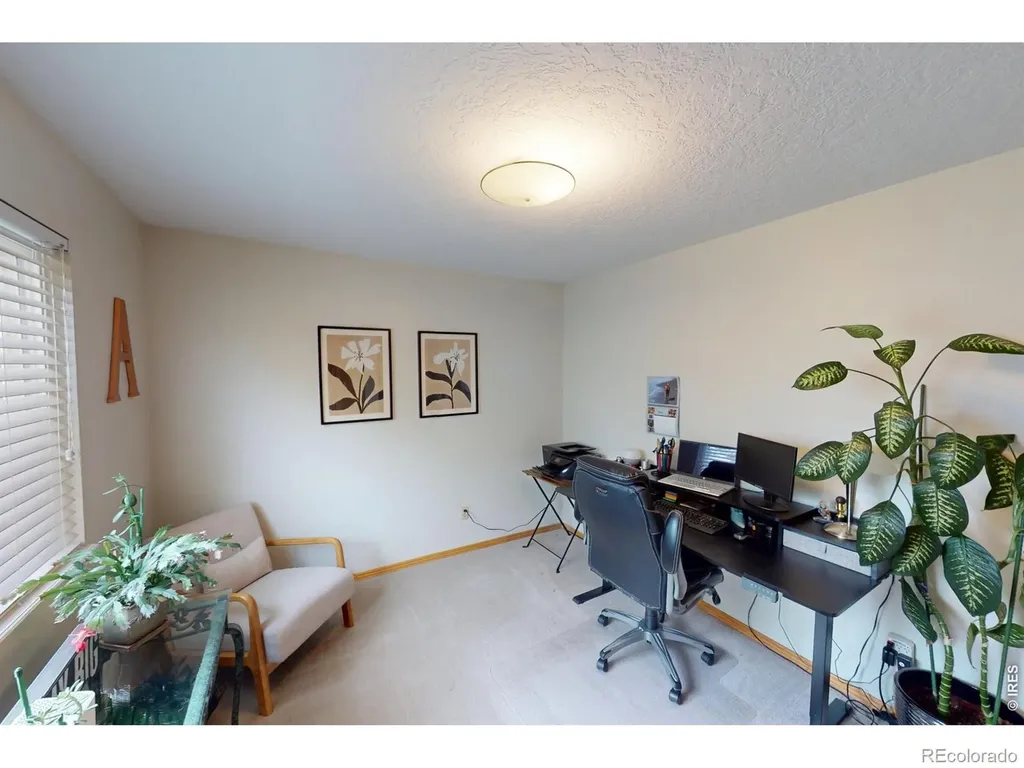 717 Shipman Mountain Court Windsor CO 80550
