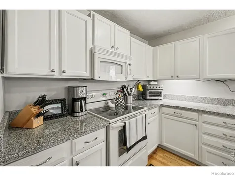 717 Shipman Mountain Court Windsor CO 80550