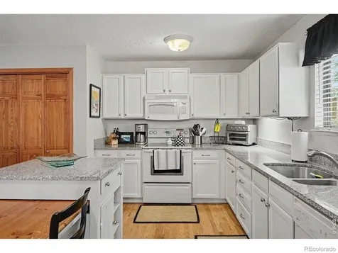 717 Shipman Mountain Court Windsor CO 80550